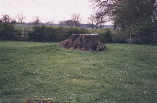 Gartenplanung Antje Kalmbach