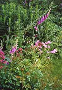 Gartenplanung