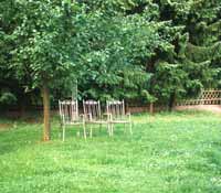 Gartenplanung
