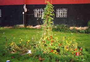 Gartenplanung
