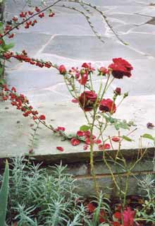 Gartenplanung