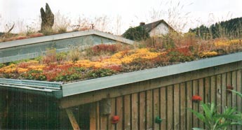 Gartenplanung: Dachbegrünung