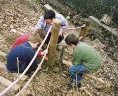 Gartenplanung
